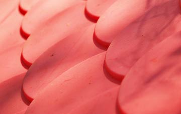 Ashton Common plastic roof costs