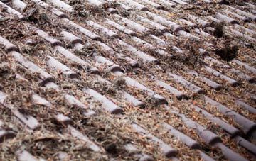 Ashton Common roof cleaning companies